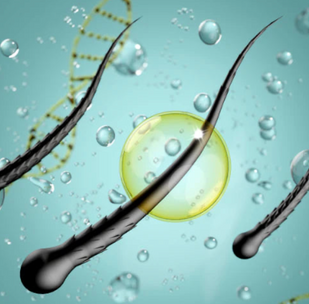 Hyaluronic Acid