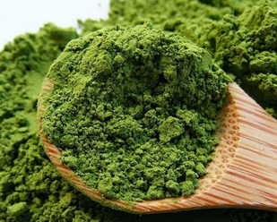 Green Tea Extract